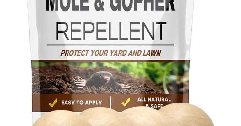 Best Mole Control In Yard: Tunnels Stopped Here