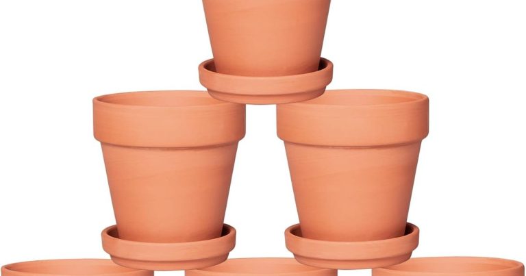 Best 4 Terra Cotta Pots: Stop Killing Your Plants