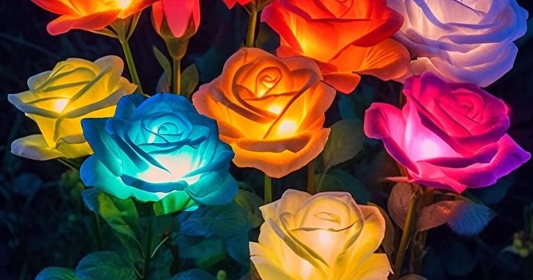 Best Solar Powered Flower Lights: Your Garden After Dark