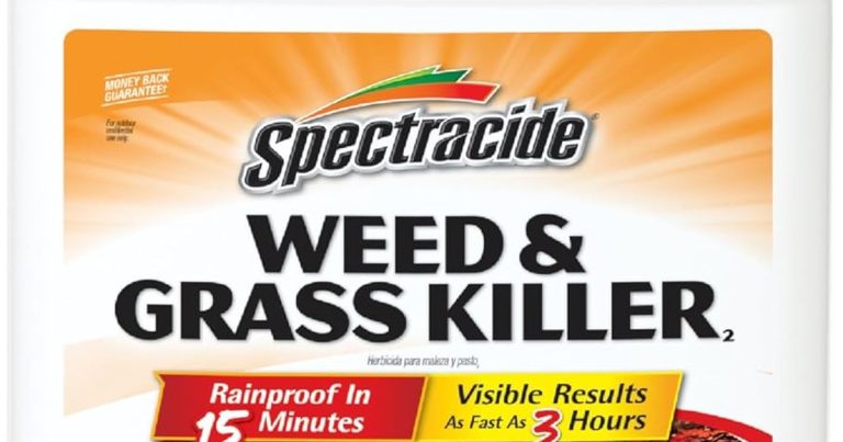 Best Mulch With Weed Killer: Stop Weeds Now
