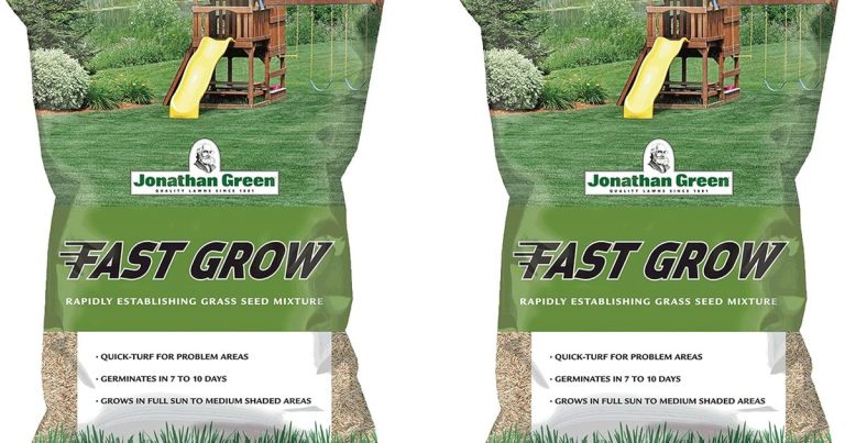 Best Quick Growing Grass Seed 2: Patches That Vanish