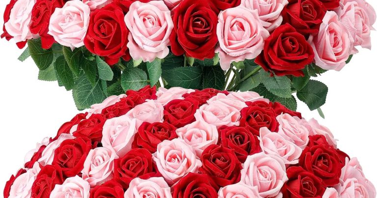 Top 5 Best Pink White And Red Roses Review
