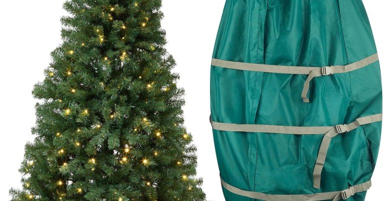 Best Tree In A Bag: Instant Greenery, Zero Hassle